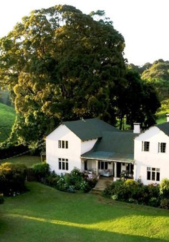 Kiambethu Tea Farm near Comfort Gardens Nairobi