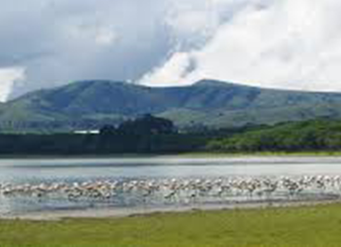 Scenic view of Lake Naivasha