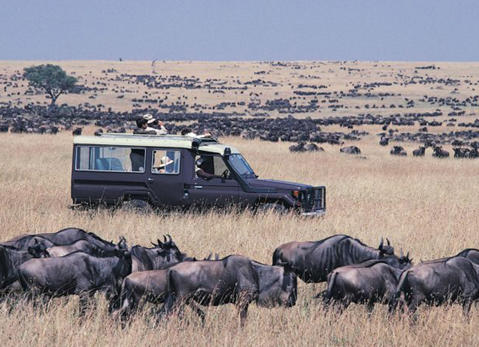 Maasai Mara safari attraction view