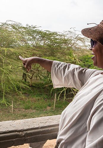 Bird-watching activity near Comfort Gardens Nanyuki